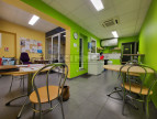 vente Immeuble Lavaur