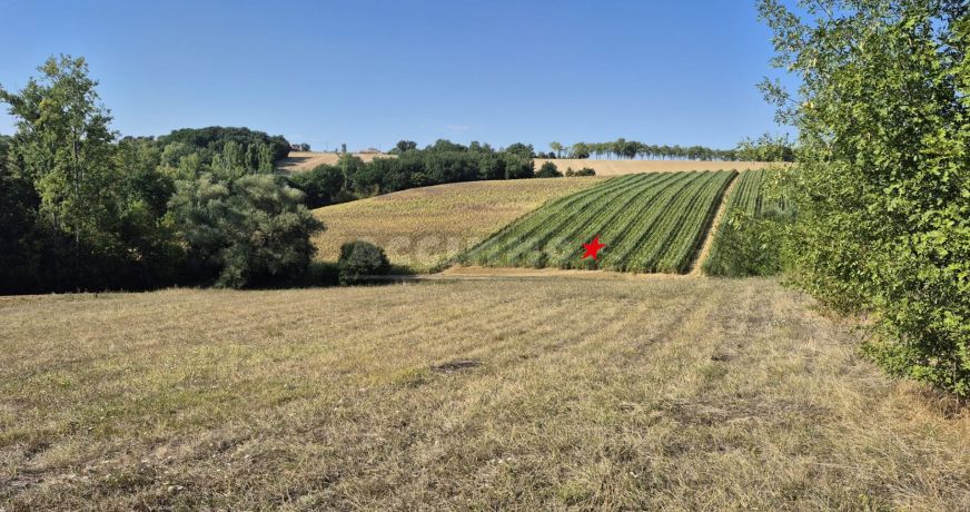 vente Terrain Lavaur
