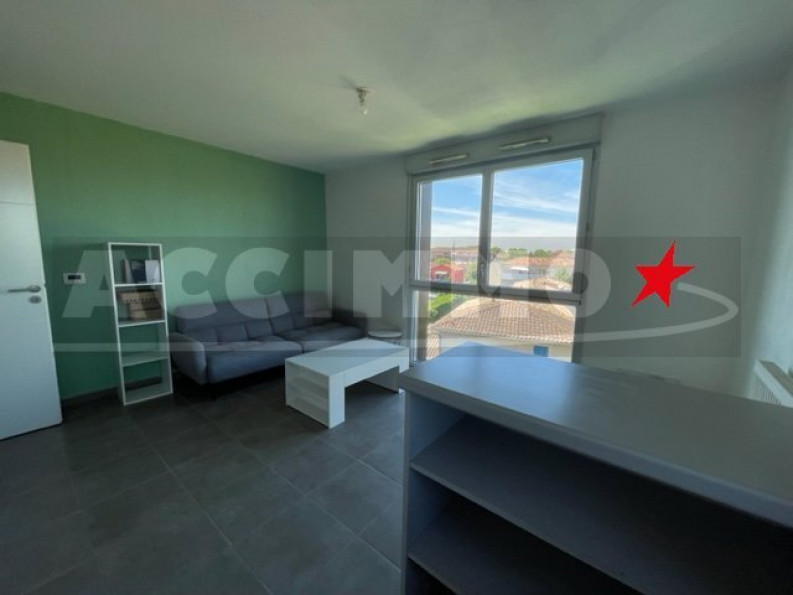 location Appartement Toulouse - Photo 3