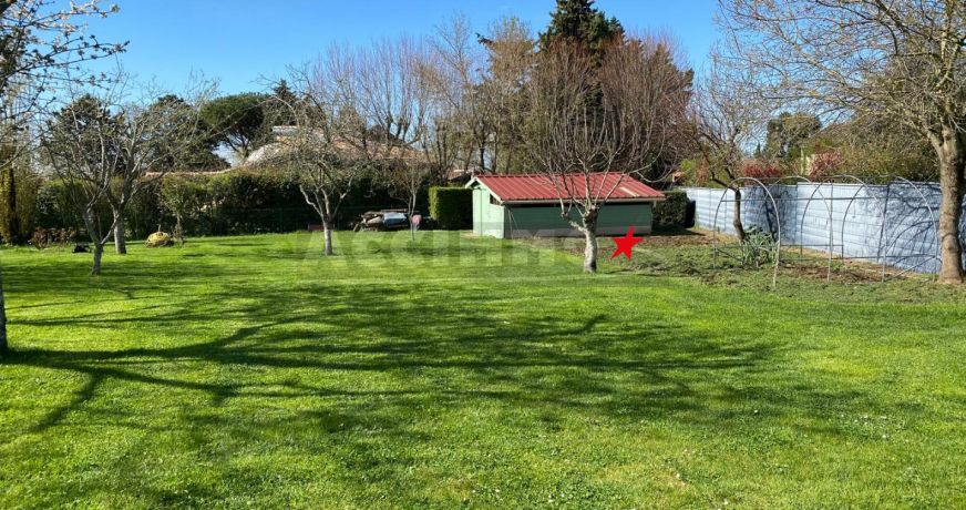 vente Terrain Montrabe