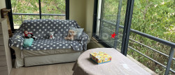vente Appartement Castanet-tolosan