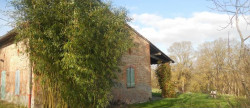 location Maison Dremil-lafage