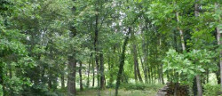location Maison Vacquiers
