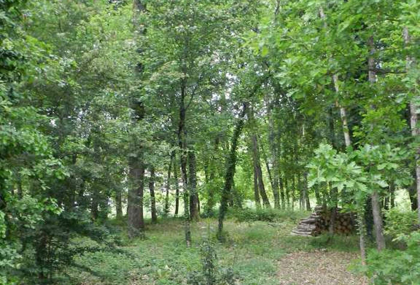 location Maison Vacquiers - Photo 5
