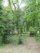 location Maison Vacquiers
