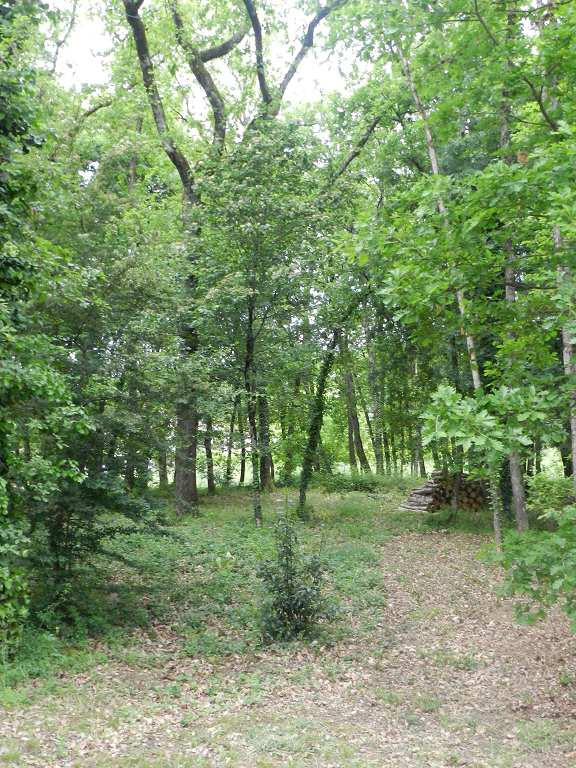 location Maison Vacquiers - Photo 5