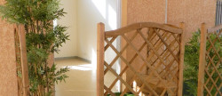 vente Appartement Saint-alban