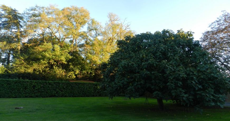 location Appartement Bruguieres