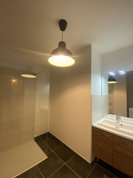 location Appartement Toulouse - Photo 6