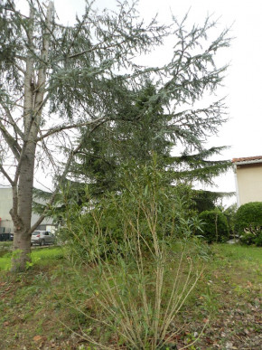 sale Maison Bruguieres