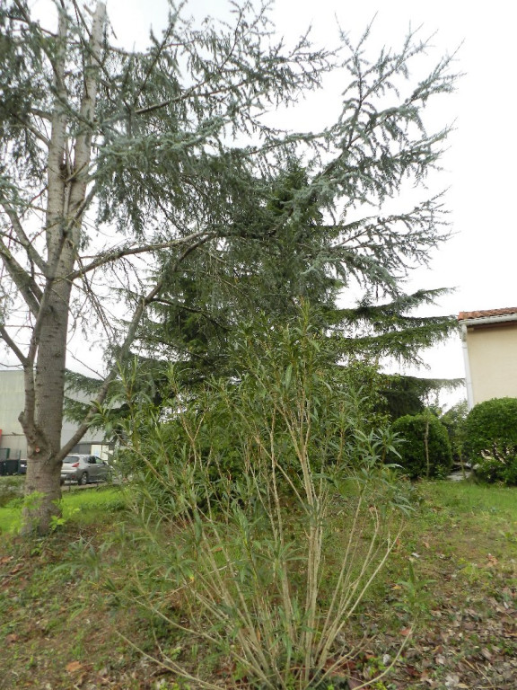 sale Maison Bruguieres - Photo 7