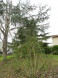 sale Maison Bruguieres
