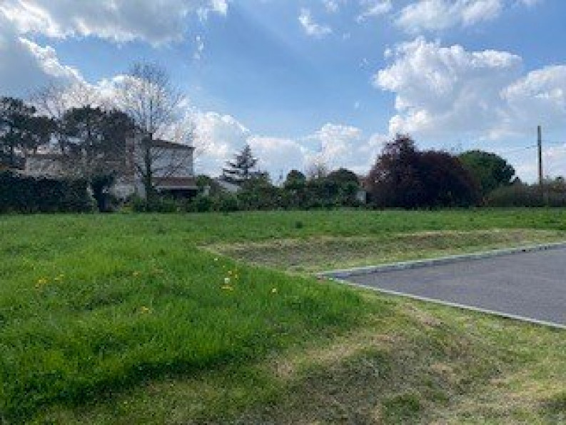 vente Terrain Saint-sauveur - Photo 1