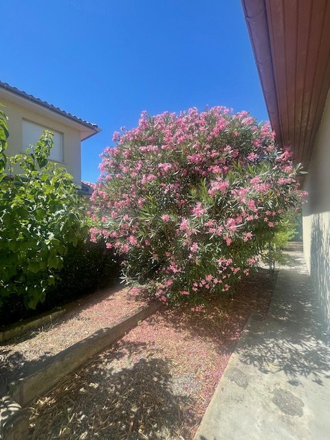 vente Maison Gagnac-sur-garonne - Photo 14