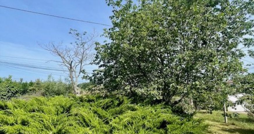 vente Maison Pechbonnieu