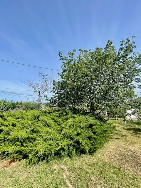 vente Maison Pechbonnieu - Photo 14