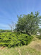 vente Maison Pechbonnieu