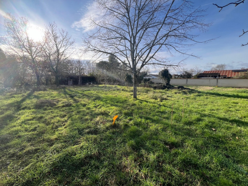 vente Terrain constructible Seysses - Photo 1