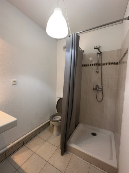 location Appartement Toulouse - Photo 7