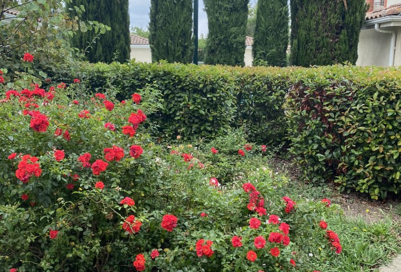 vente Appartement Muret - Photo 7