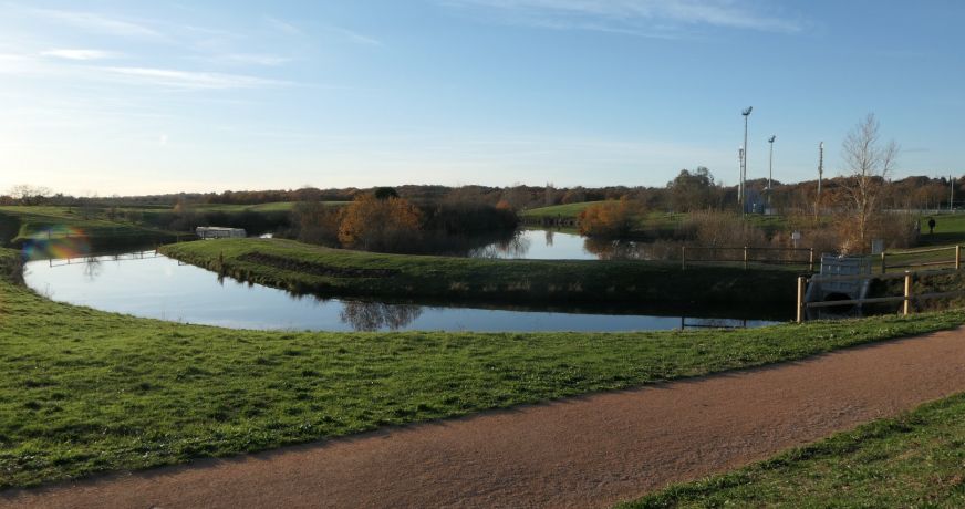 location Maison Tournefeuille