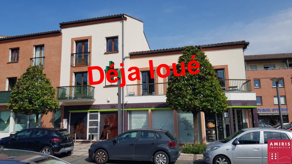 location Appartement Tournefeuille - Photo 1