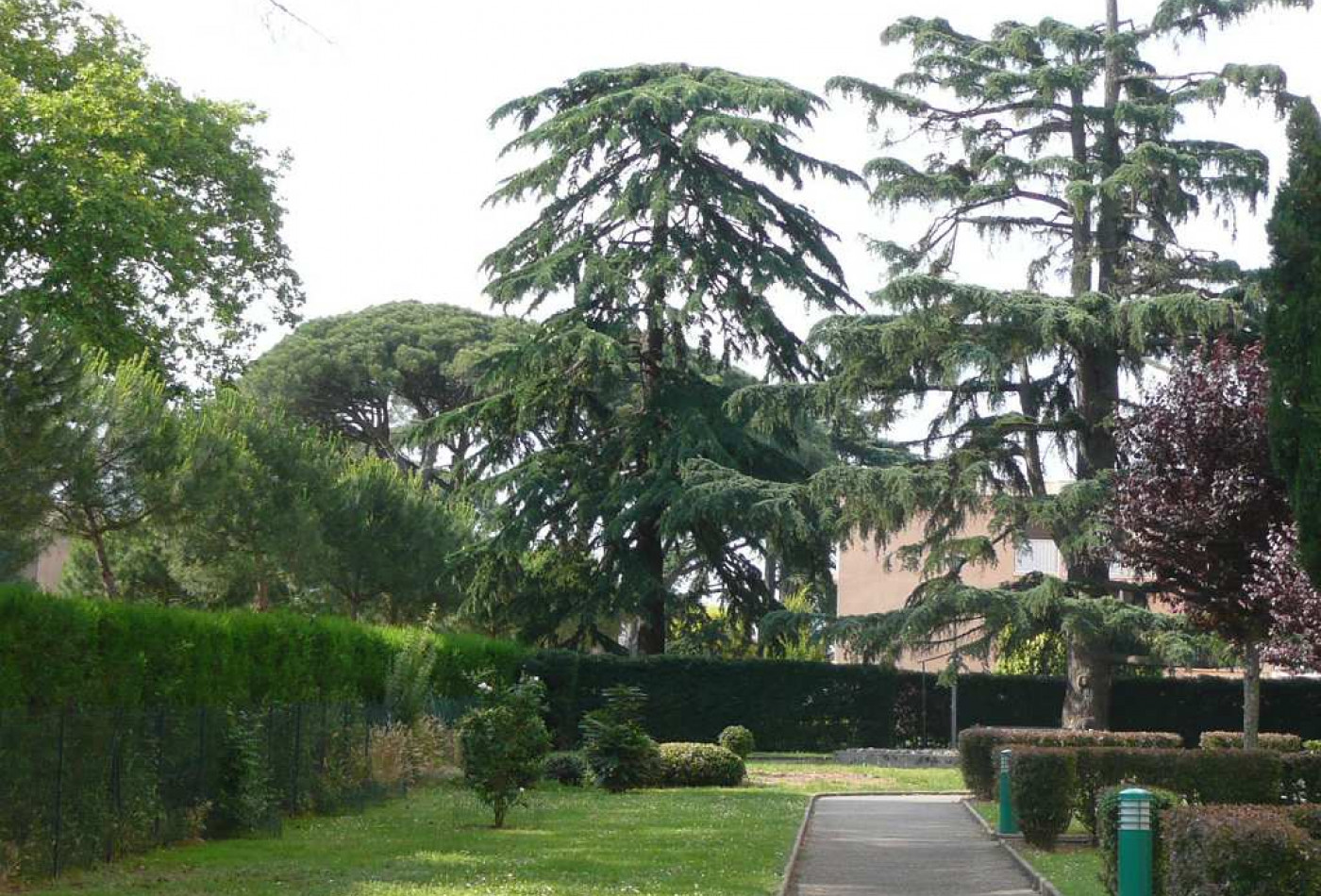 location Appartement Colomiers - Photo 10