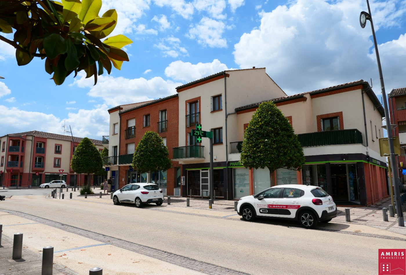 location Appartement Tournefeuille - Photo 9