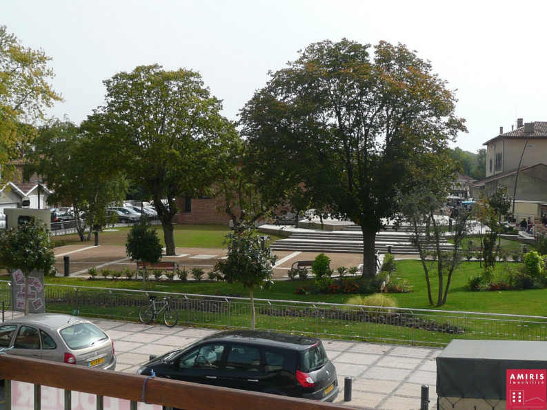 location Appartement Tournefeuille - Photo 2