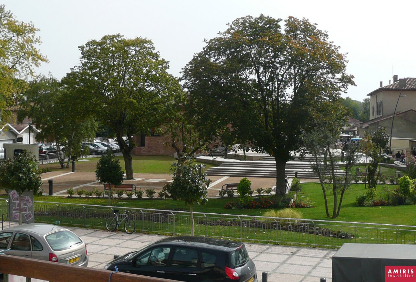 location Appartement Tournefeuille - Photo 2