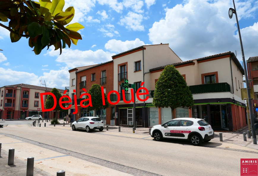 location Appartement Tournefeuille - Photo 1