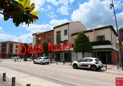 location Appartement Tournefeuille
