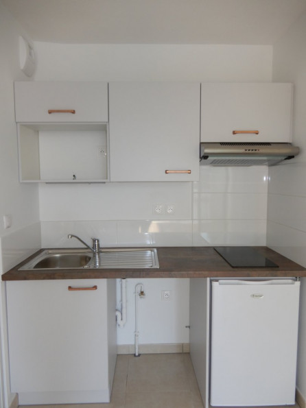 location Appartement L'union - Photo 3
