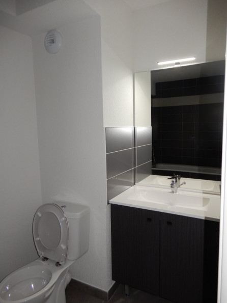 location Appartement Toulouse - Photo 5