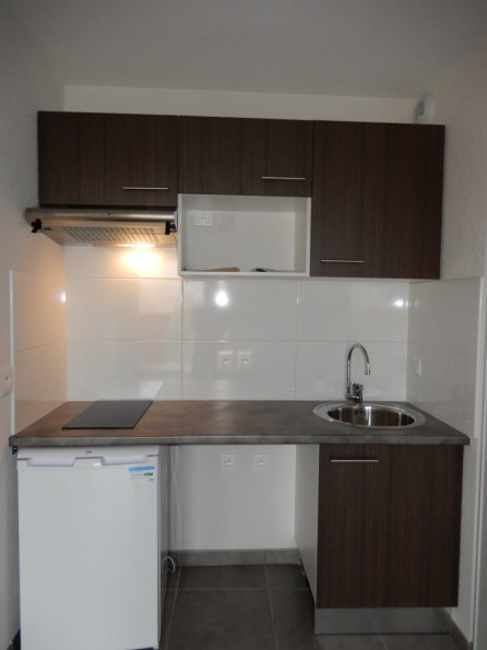 location Appartement Toulouse - Photo 2