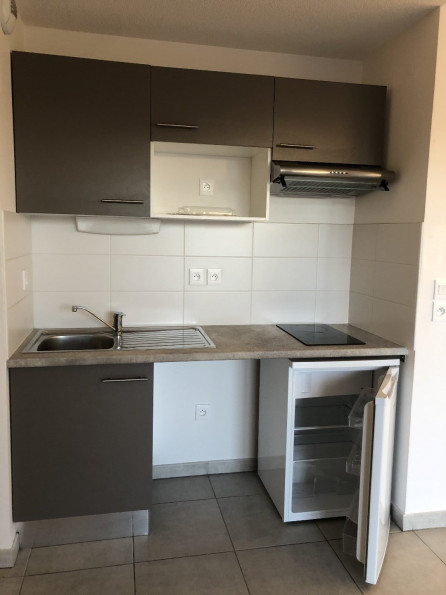 location Appartement Tournefeuille - Photo 2