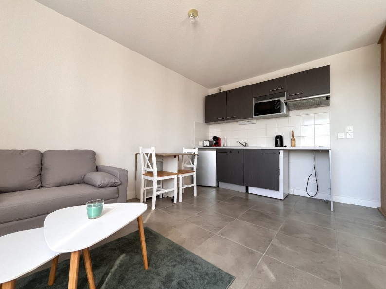 location Appartement Blagnac - Photo 4