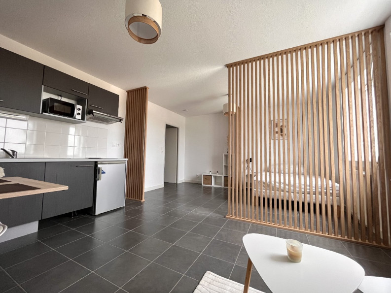 location Appartement Blagnac - Photo 2