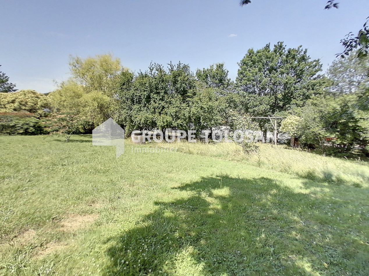 vente Terrain Montrabe - Photo 1