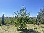 vente Maison Caraman