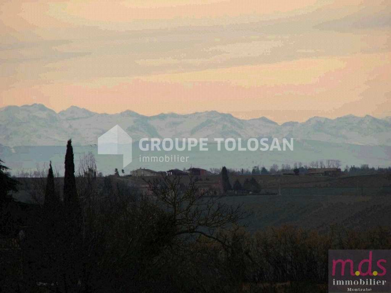 vente Maison Montrabe - Photo 18