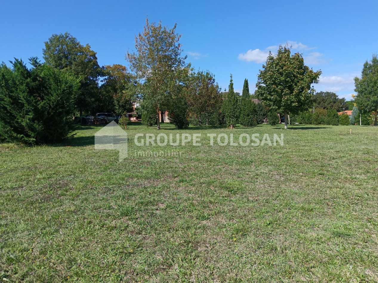 vente Terrain Montrabe - Photo 1