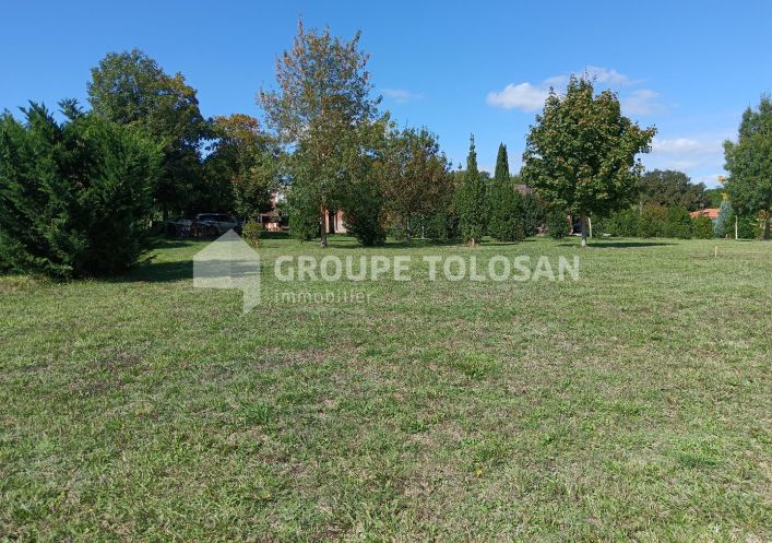 vente Terrain Montrabe