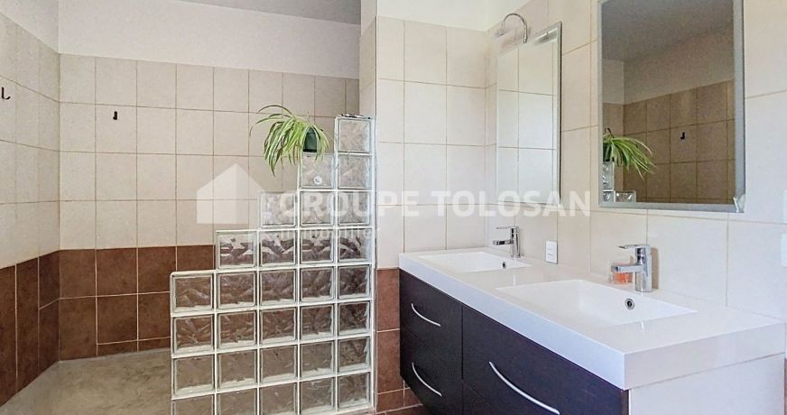 vente Maison Pin Balma