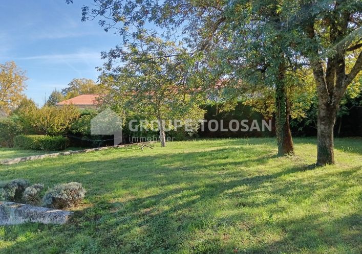 vente Terrain Montrabe