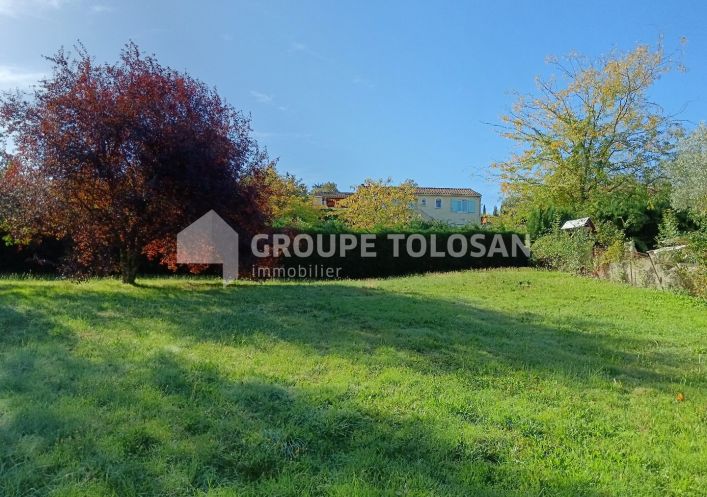 vente Terrain Montrabe