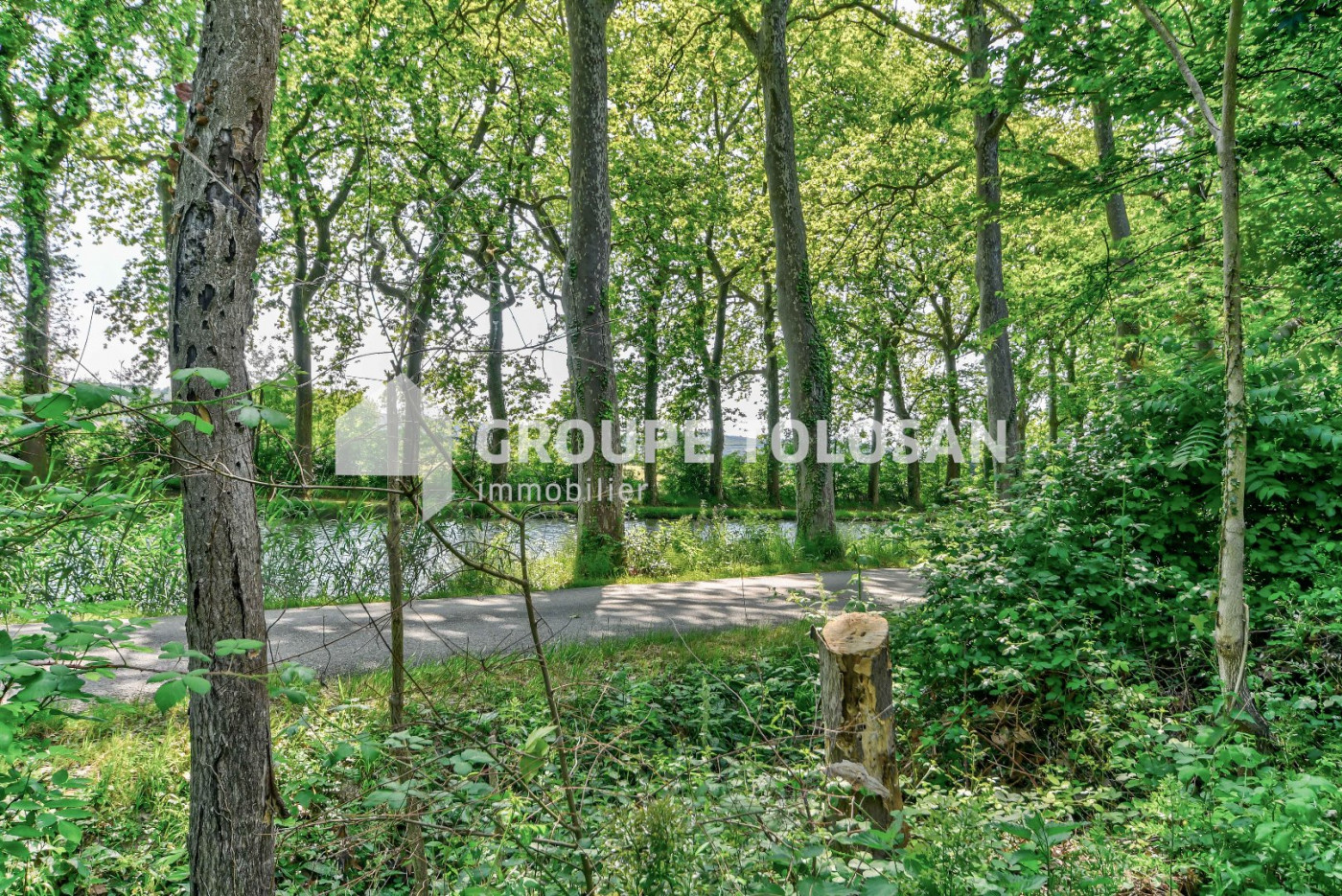 vente Château Toulouse - Photo 12