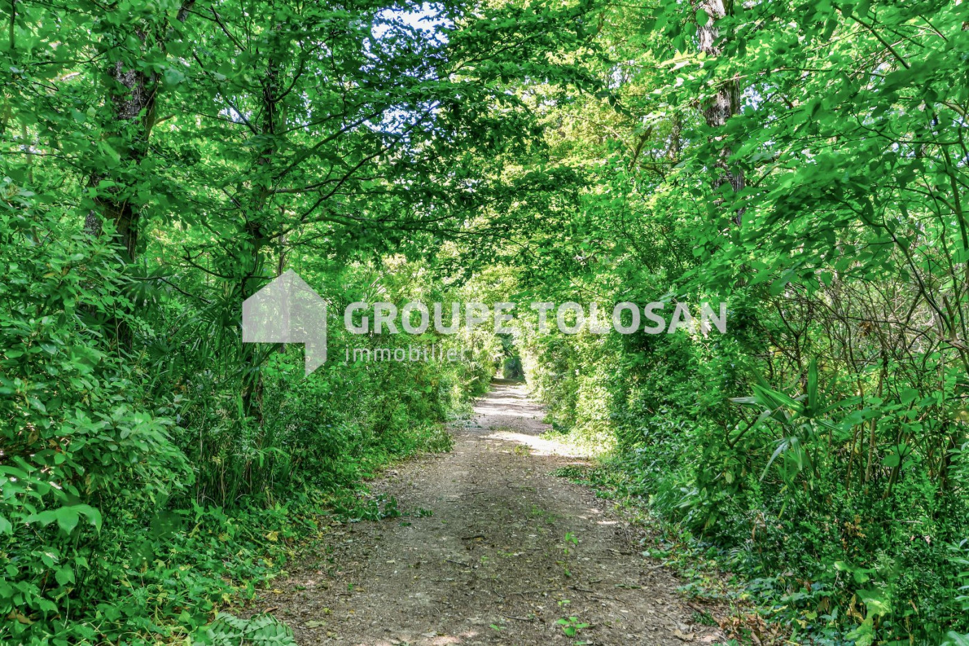 vente Château Toulouse - Photo 13