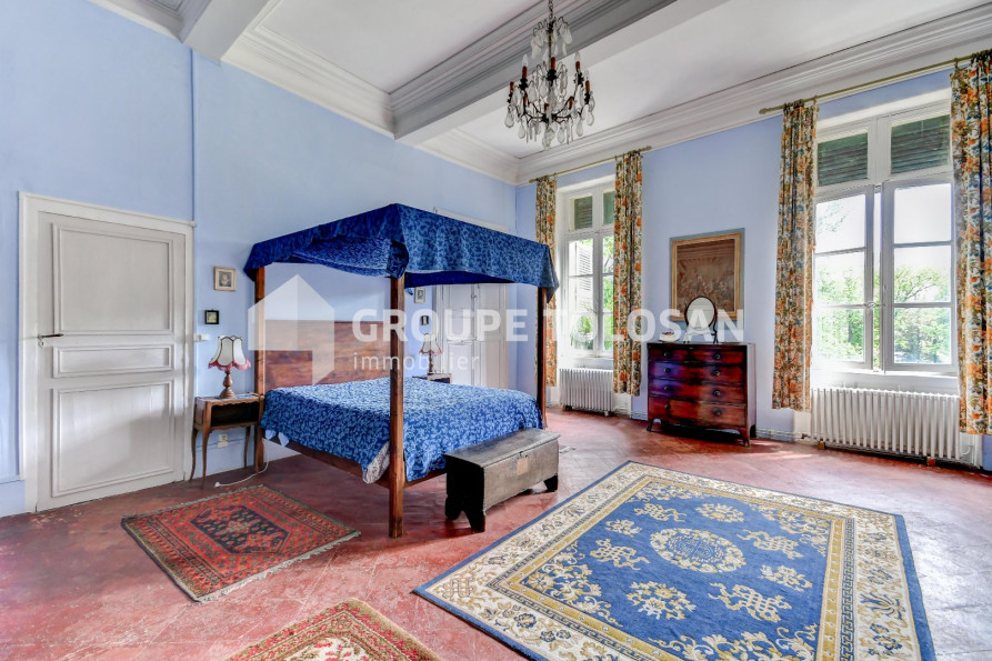 vente Château Toulouse - Photo 10