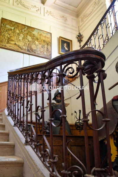 vente Château Toulouse - Photo 9